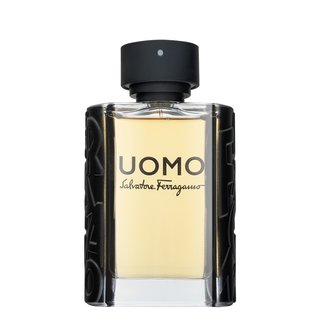 Salvatore Ferragamo Uomo Toaletna voda za moške 100 ml