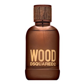 Dsquared2 Wood Toaletna voda za moške 100 ml