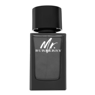 Burberry Mr. Burberry parfumirana voda za moške 100 ml