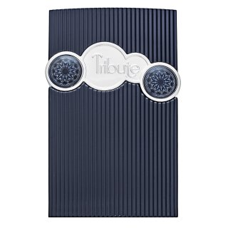 Afnan Tribute Blue parfumirana voda za moške 100 ml