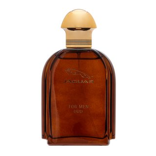 Jaguar Oud For Men parfumirana voda za moške 100 ml