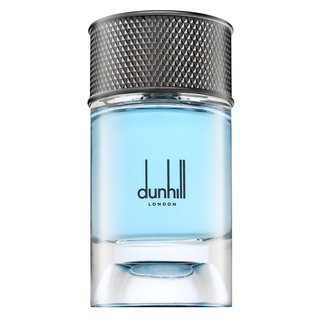 Dunhill Signature Collection Nordic Fougere parfumirana voda za moške 100 ml