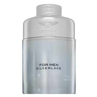 Bentley Silverlake parfumirana voda za moške 100 ml
