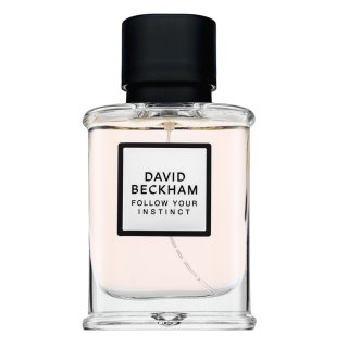 David Beckham Follow Your Instinct parfumirana voda za moške 50 ml