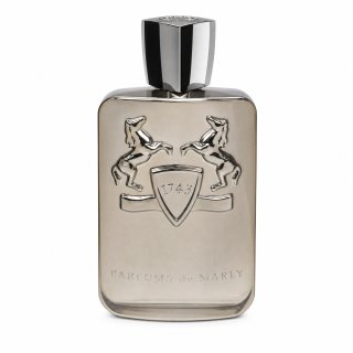 Parfums de Marly Pegasus parfumirana voda za moške 200 ml