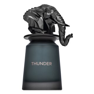 French Avenue Thunder parfumirana voda za moške 100 ml
