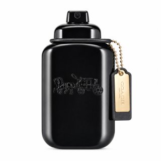 Coach Coach for Men parfumirana voda za moške 60 ml