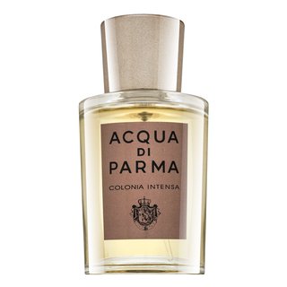 Acqua di Parma Colonia Intensa kolonjska voda za moške 50 ml