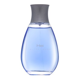 Alfred Sung Hei Toaletna voda za moške 100 ml