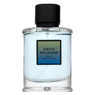David Beckham True Instinct parfumirana voda za moške 75 ml