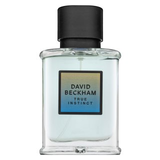 David Beckham True Instinct parfumirana voda za moške 50 ml