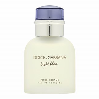Dolce & Gabbana Light Blue Pour Homme Toaletna voda za moške 40 ml