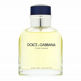 Dolce & Gabbana Pour Homme Toaletna voda za moške 75 ml