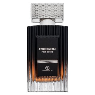Grandeur Unbreakable parfumirana voda za moške 100 ml