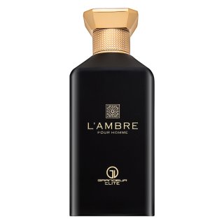 Grandeur L'Ambre parfumirana voda za moške 100 ml