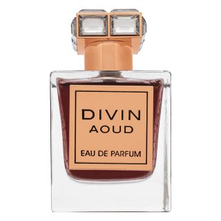 French Avenue Divin Aoud parfumirana voda unisex 100 ml