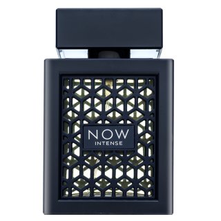 Rave Now Intense parfumirana voda za moške 100 ml