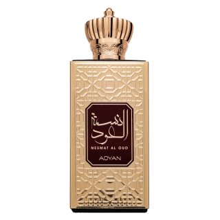 Adyan Nesmat Al Oud parfumirana voda za moške 60 ml