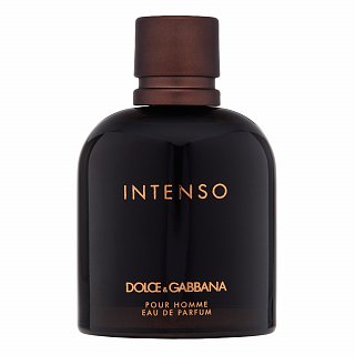 Dolce & Gabbana Pour Homme Intenso parfumirana voda za moške 125 ml