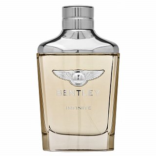 Bentley Infinite Toaletna voda za moške 100 ml