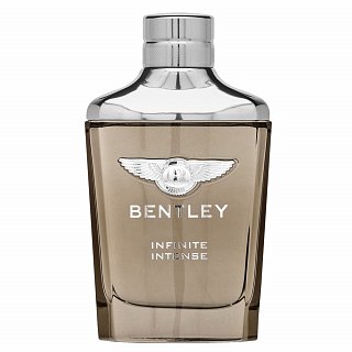 Bentley Infinite Intense parfumirana voda za moške 100 ml