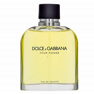 Dolce & Gabbana Pour Homme Toaletna voda za moške 200 ml