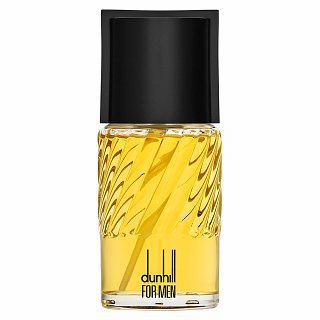 Dunhill Dunhill for Men Toaletna voda za moške 100 ml