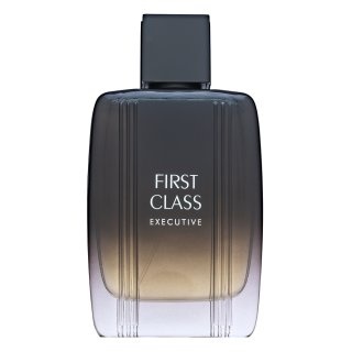 Aigner First Class Executive Toaletna voda za moške 100 ml