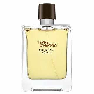 Hermès Terre D'Hermes Eau Intense Vetiver parfumirana voda za moške 100 ml